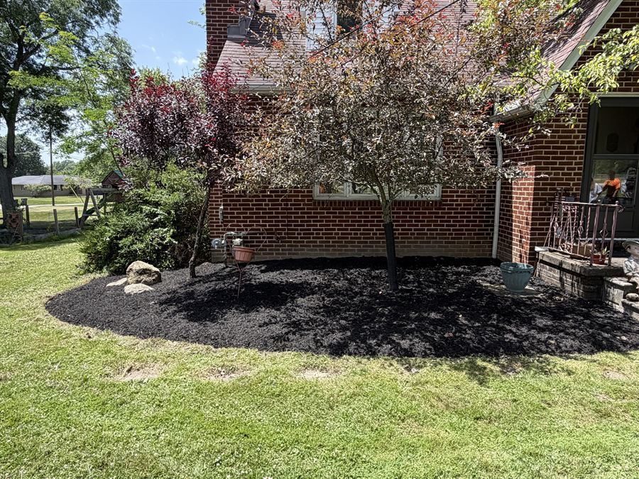 After: the same bed cleared out and covered in fresh black mulch