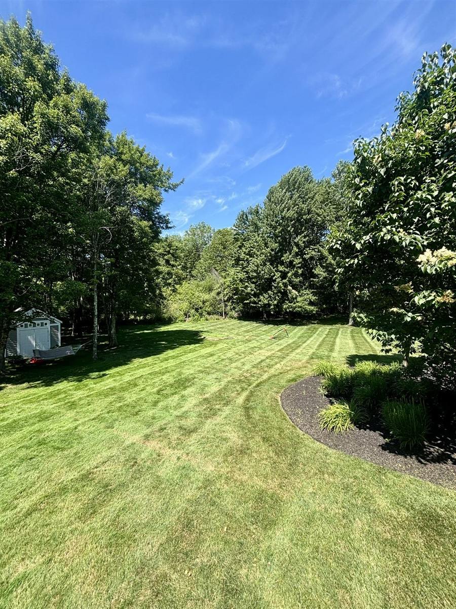 A backyard mowed in stripes, curving around a fresh mulch bed