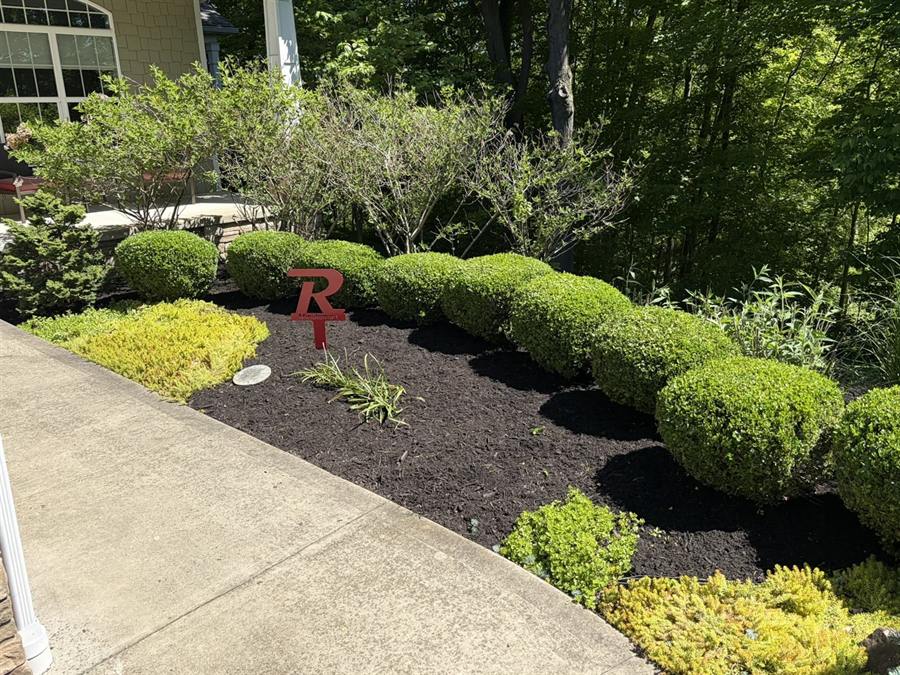 Trimmed shrubs and fresh mulch along a front walkway