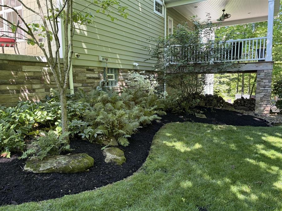 A shady planting bed with hostas and stones under a deck