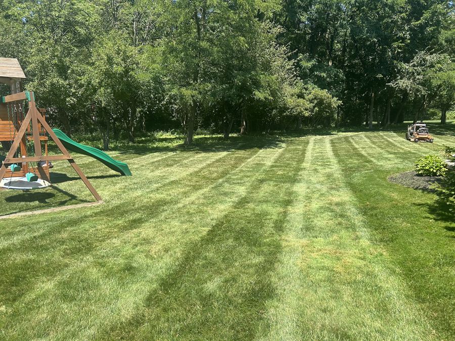 Backyard mowed in straight stripes beside a wooden playset