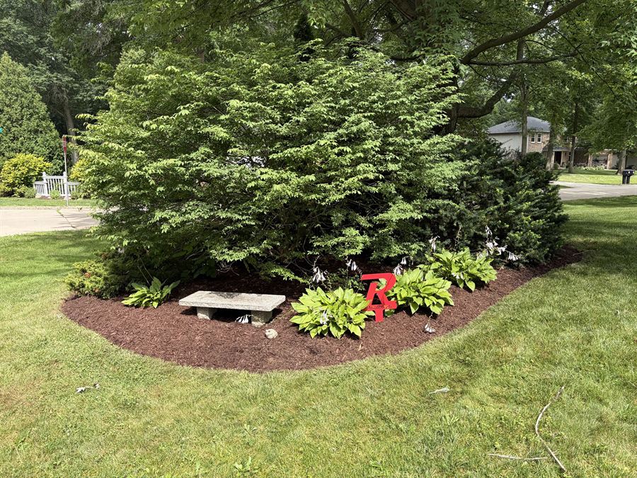 Planting bed with shrubs and red flowers in fresh mulch